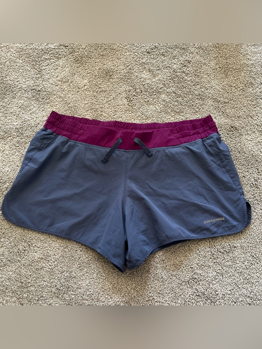 Patagonia Women's Gray Purple Lined Running Hiking Shorts *No Size Tag Measured*
